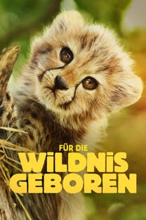 Für die Wildnis geboren – Poster