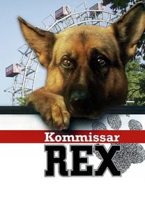 Kommissar Rex – Poster