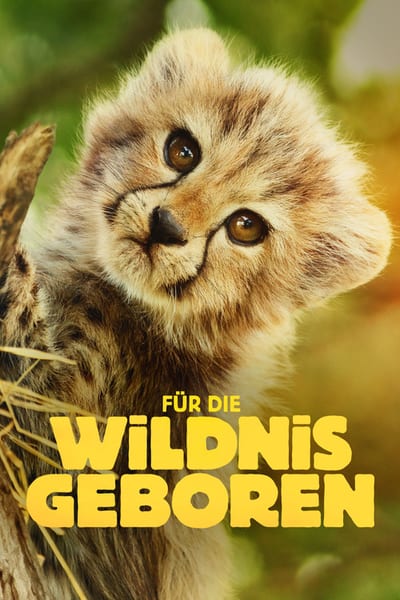 Für die Wildnis geboren – Poster
