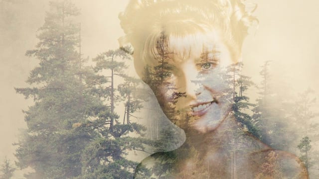 Twin Peaks – Szenenbild