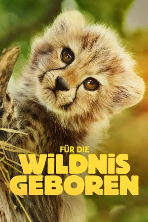 Für die Wildnis geboren – Poster